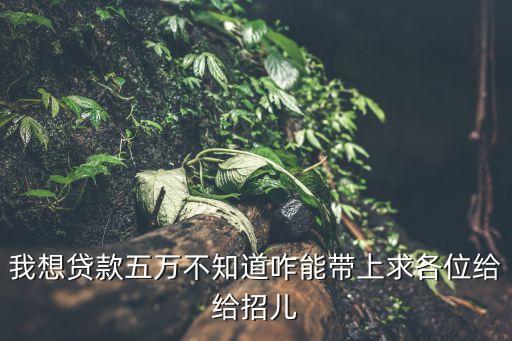 中銀富登5萬貸款怎么帶，中銀富士登銀行怎么辦貸款