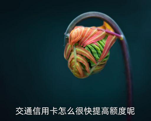 交通信用卡怎么很快提高額度呢