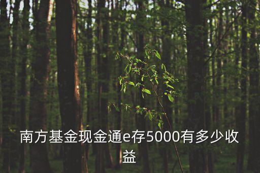 南方基金現(xiàn)金通e存5000有多少收益
