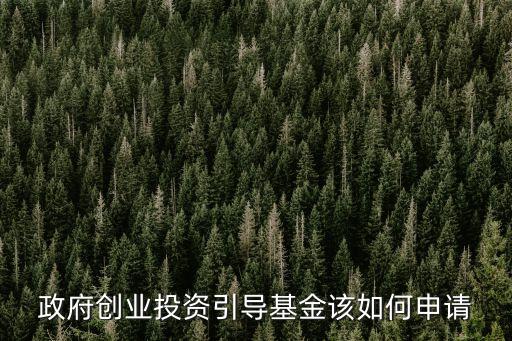 政府創(chuàng)業(yè)投資引導基金該如何申請