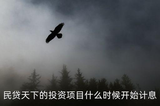 民貸天下怎么投，民貸天下的投資項(xiàng)目什么時(shí)候開始計(jì)息