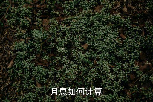 月息如何計(jì)算
