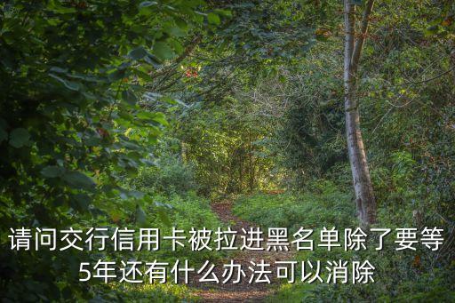 請問交行信用卡被拉進黑名單除了要等5年還有什么辦法可以消除