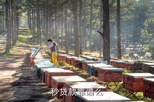 秒貸金融怎么樣，有人在秒貸金融投入過錢嗎項目怎么樣啊