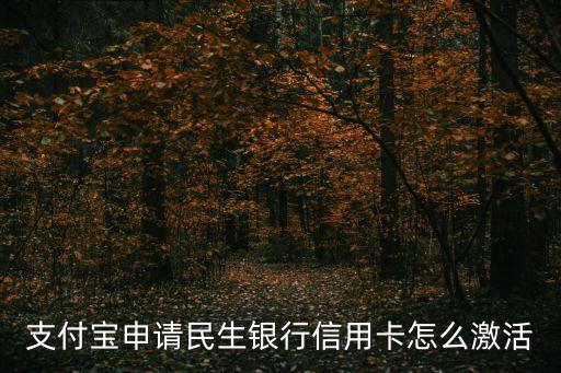 支付寶申請(qǐng)民生銀行信用卡怎么激活