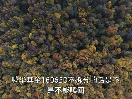160630怎么賣出，您好請問國防B與國防A合并為國防分級(jí)160630次日必須贖回嗎