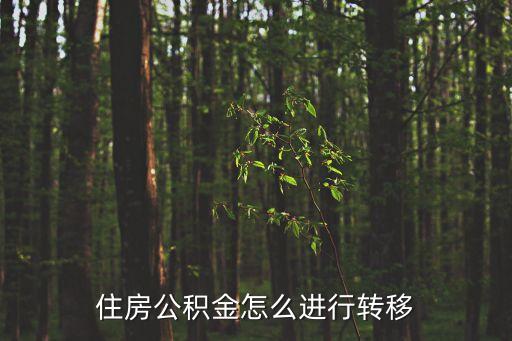 住房公積金怎么進(jìn)行轉(zhuǎn)移