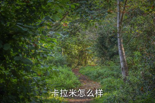 卡拉米怎么樣