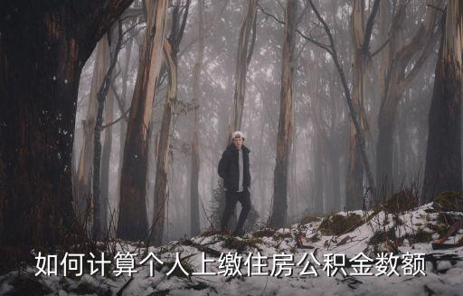 買(mǎi)房住房公積金怎么算，住房公積金是怎么算的