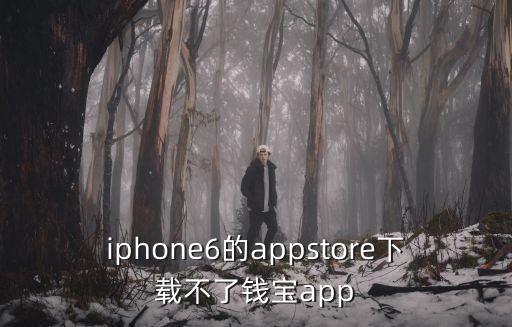蘋果app怎么下載不了現(xiàn)金寶，iphone6的appstore下載不了錢寶app