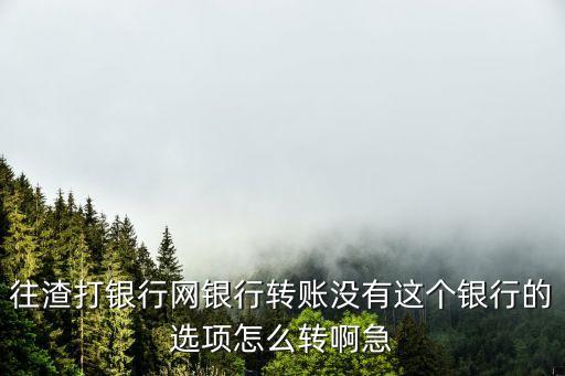 往渣打銀行網(wǎng)銀行轉(zhuǎn)賬沒(méi)有這個(gè)銀行的選項(xiàng)怎么轉(zhuǎn)啊急