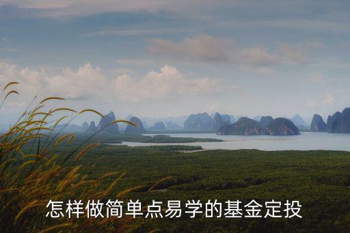 怎樣做簡單點易學(xué)的基金定投