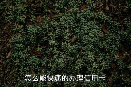 怎么能快速的辦理信用卡