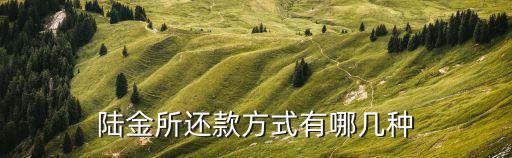 陸金所里面怎么還款，陸金所提前還款怎樣操作