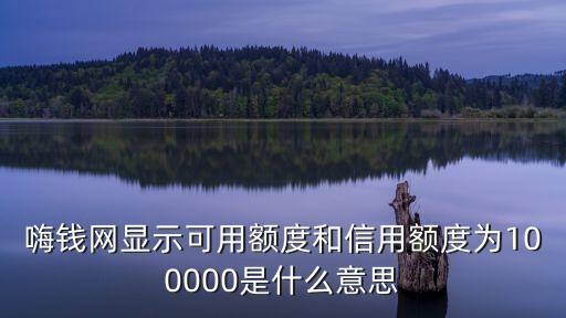 嗨錢(qián)網(wǎng)顯示可用額度和信用額度為100000是什么意思