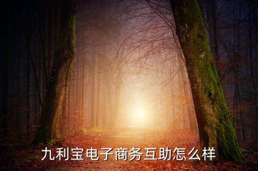 九利寶電子科技有限公司怎么樣，九利寶電子商務(wù)互助怎么樣