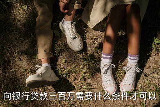 怎么向銀行貸款300萬，向銀行貸款三百萬需要什么條件才可以