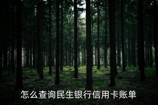 怎么查詢民生銀行信用卡賬單