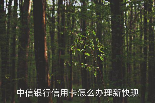 中信銀行新快現(xiàn)怎么申請(qǐng)條件，中信銀行新快現(xiàn)業(yè)務(wù)辦理需要滿足什么條件