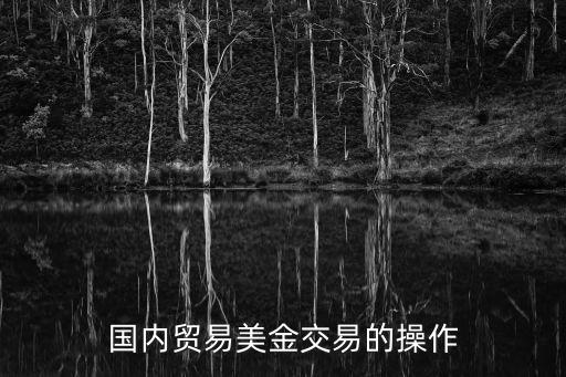 美金國(guó)內(nèi)怎么用，手上有美元外匯在國(guó)內(nèi)怎么花或者怎么使用