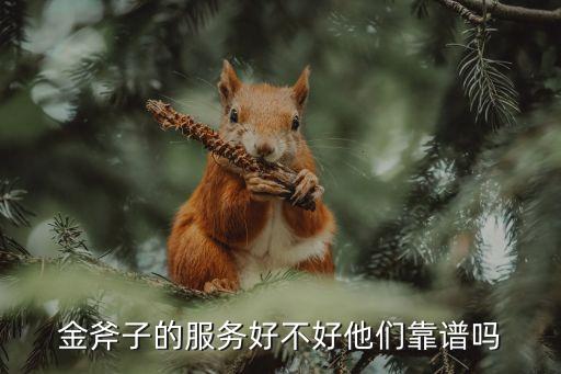金斧子這家工作怎么樣，金斧子的服務(wù)好不好他們靠譜嗎