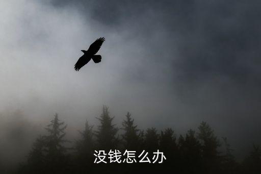 現(xiàn)在沒(méi)錢(qián)了怎么辦，沒(méi)錢(qián)了怎么辦