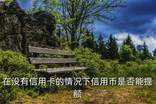 在沒有信用卡的情況下信用幣是否能提額