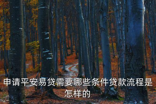 平安車易貸怎么申請，申請平安易貸需要哪些條件貸款流程是怎樣的
