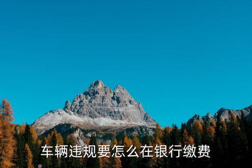 車輛違規(guī)要怎么在銀行繳費