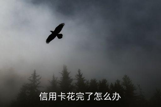 信用卡花完了怎么辦