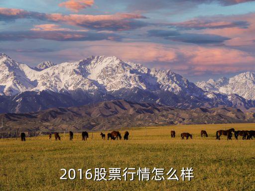 2016的股市行情怎么樣，2016年下半年股市行情分析