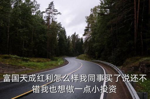 富國天成紅利混合 怎么樣，富國天成紅利怎么樣我同事買了說還不錯(cuò)我也想做一點(diǎn)小投資