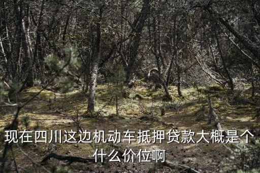 現(xiàn)在四川這邊機(jī)動車抵押貸款大概是個(gè)什么價(jià)位啊