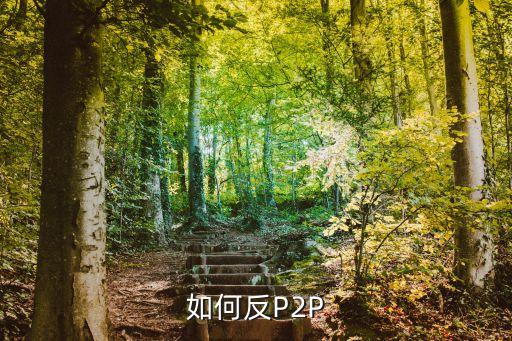 如何反P2P