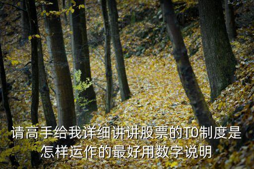 請高手給我詳細講講股票的T0制度是怎樣運作的最好用數(shù)字說明