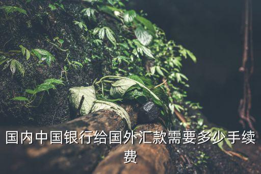 國(guó)內(nèi)怎么給國(guó)外轉(zhuǎn)賬手續(xù)費(fèi)，中國(guó)銀行 怎么收取外匯手續(xù)費(fèi)