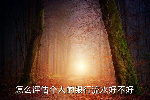 銀行流水怎么看好不好，怎么評(píng)估個(gè)人的銀行流水好不好
