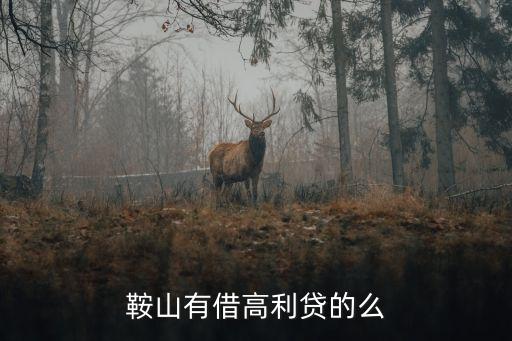 鞍山有借高利貸的么