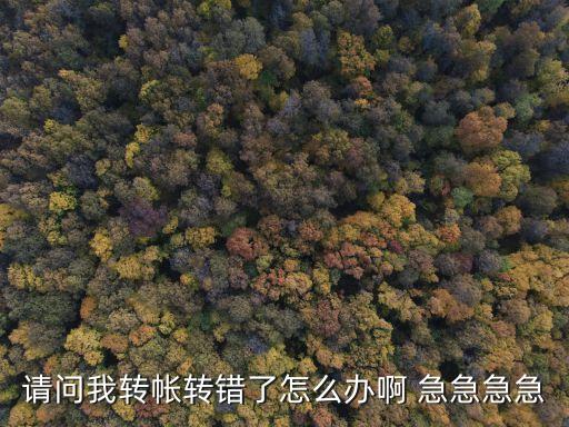 發(fā)現轉賬轉錯了怎么辦，銀行卡的錢轉賬轉錯了怎么辦