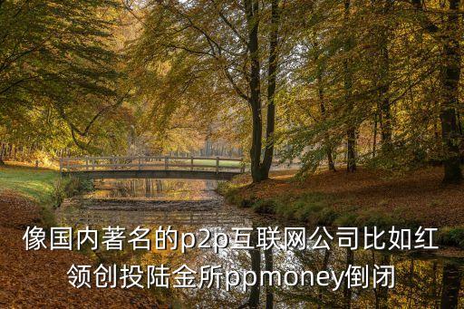 像國內(nèi)著名的p2p互聯(lián)網(wǎng)公司比如紅領(lǐng)創(chuàng)投陸金所ppmoney倒閉