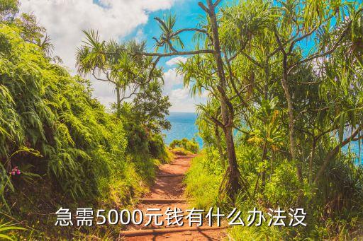 急需5000怎么辦，急需5000元什么辦法能最快解決
