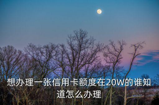 想辦理一張信用卡額度在20W的誰(shuí)知道怎么辦理