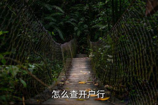 怎么查開(kāi)戶行