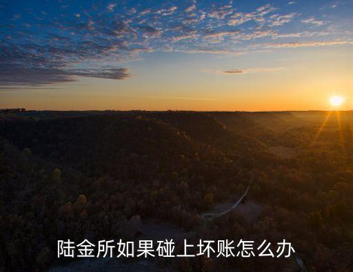 陸金所如果碰上壞賬怎么辦