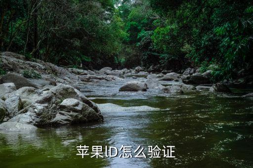 蘋果lD怎么驗(yàn)證