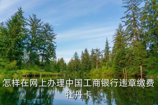 怎樣在網(wǎng)上辦理中國工商銀行違章繳費(fèi)牡丹卡