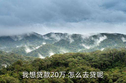 我想貸款20萬(wàn) 怎么去貸呢