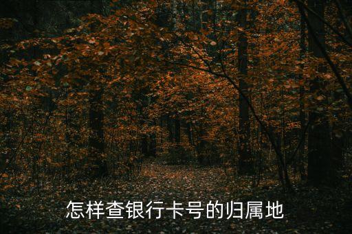 怎樣查銀行卡號(hào)的歸屬地