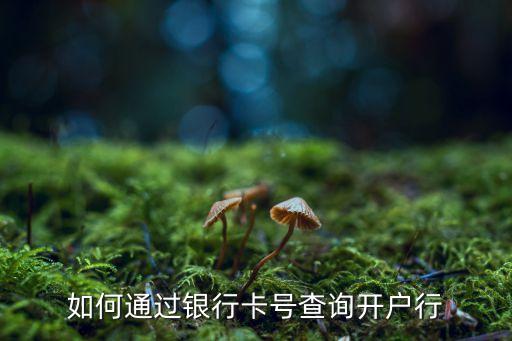 如何通過銀行卡號查詢開戶行