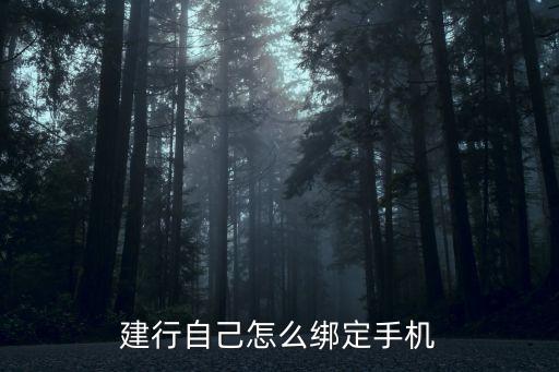 建行怎么綁定手機(jī)銀行，建設(shè)銀行怎么綁定手機(jī)